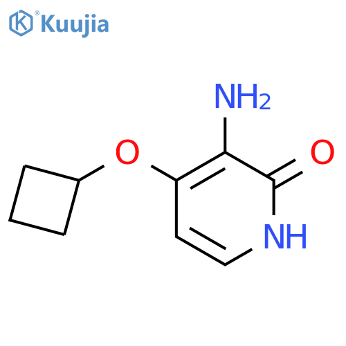 3-amino-4-cyclobutoxy-1,2-dihydropyridin-2-one structure