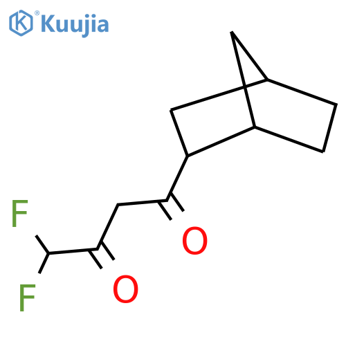 1-{bicyclo2.2.1heptan-2-yl}-4,4-difluorobutane-1,3-dione structure