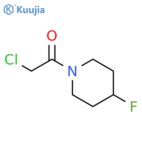 2-chloro-1-(4-fluoropiperidin-1-yl)ethan-1-one structure