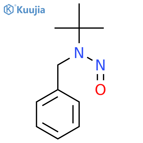 Benzenemethanamine,N-(1,1-dimethylethyl)-N-nitroso- structure