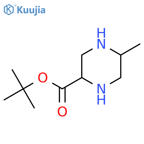 Tert-butyl 5-methylpiperazine-2-carboxylate structure
