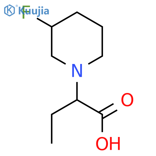 2-(3-Fluoropiperidin-1-yl)butanoic acid structure