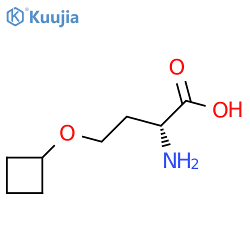 (2R)-2-amino-4-cyclobutoxybutanoic acid structure