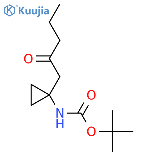 tert-butyl N-[1-(2-oxopentyl)cyclopropyl]carbamate structure