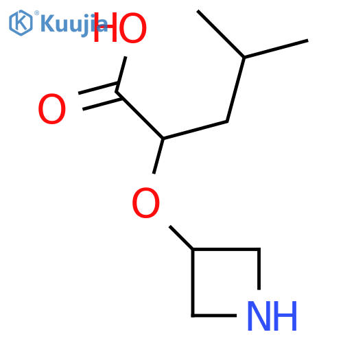 2-(azetidin-3-yloxy)-4-methylpentanoic acid structure
