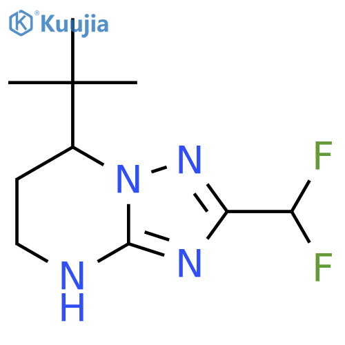 7-tert-butyl-2-(difluoromethyl)-4H,5H,6H,7H-1,2,4triazolo1,5-apyrimidine structure