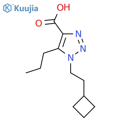 1-(2-cyclobutylethyl)-5-propyl-1H-1,2,3-triazole-4-carboxylic acid structure