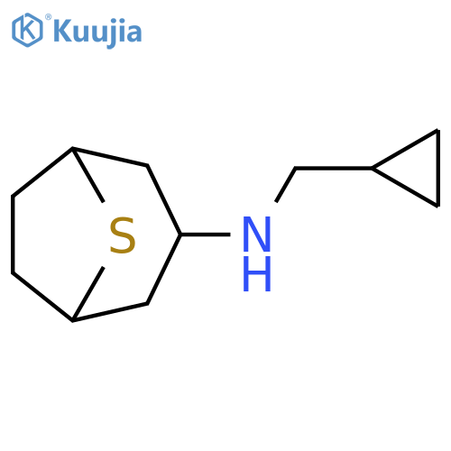 8-Thiabicyclo[3.2.1]octan-3-amine, N-(cyclopropylmethyl)- structure