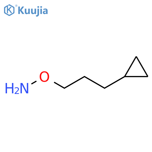O-(3-cyclopropylpropyl)hydroxylamine structure