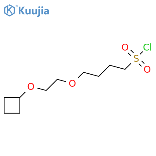 4-(2-Cyclobutoxyethoxy)butane-1-sulfonyl chloride structure