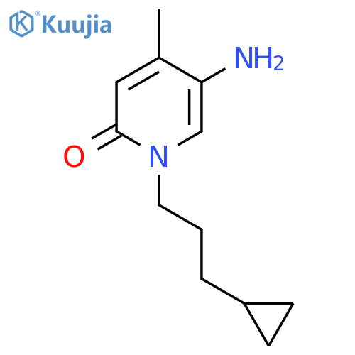 5-amino-1-(3-cyclopropylpropyl)-4-methyl-1,2-dihydropyridin-2-one structure