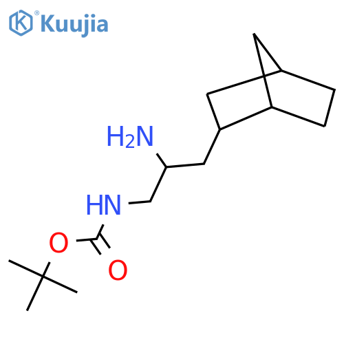 tert-butyl N-(2-amino-3-{bicyclo2.2.1heptan-2-yl}propyl)carbamate structure