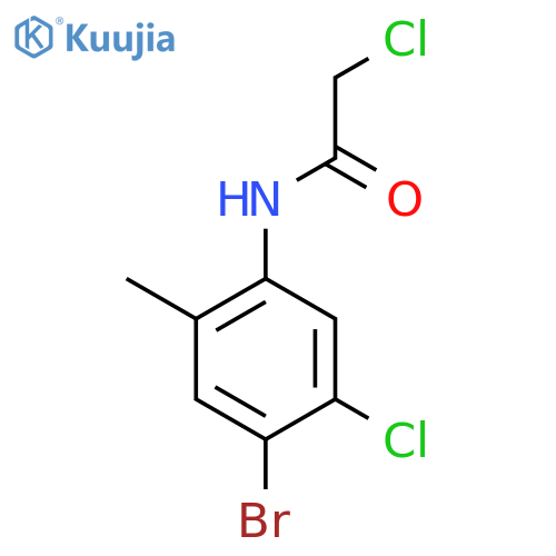 N-(4-Bromo-5-chloro-2-methylphenyl)-2-chloroacetamide structure