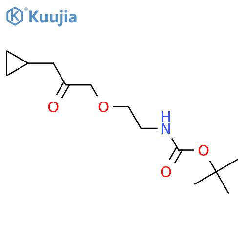 tert-butyl N-2-(3-cyclopropyl-2-oxopropoxy)ethylcarbamate structure