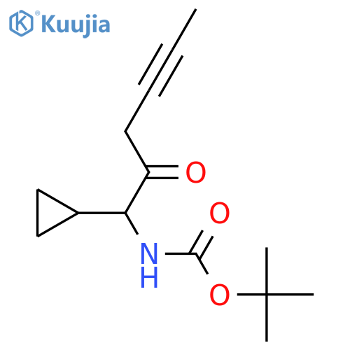 tert-butyl N-(1-cyclopropyl-2-oxohex-4-yn-1-yl)carbamate structure