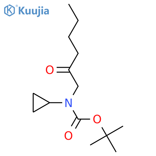 tert-butyl N-cyclopropyl-N-(2-oxohexyl)carbamate structure