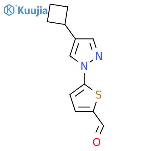 5-(4-cyclobutyl-1H-pyrazol-1-yl)thiophene-2-carbaldehyde structure