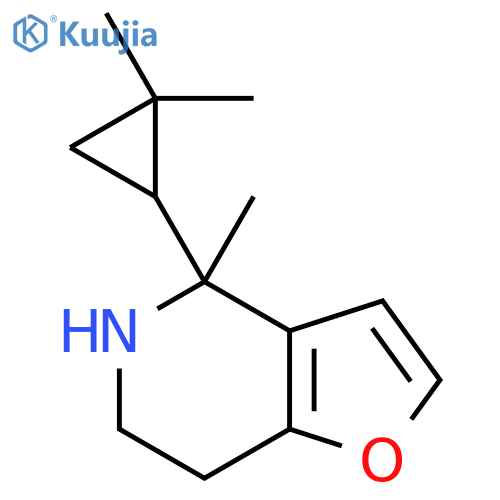 4-(2,2-dimethylcyclopropyl)-4-methyl-4H,5H,6H,7H-furo3,2-cpyridine structure
