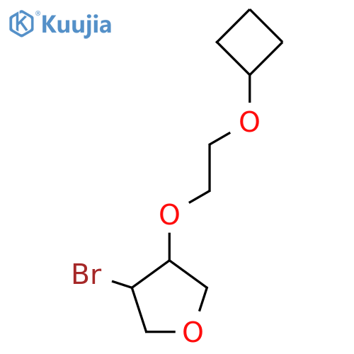 3-bromo-4-(2-cyclobutoxyethoxy)oxolane structure