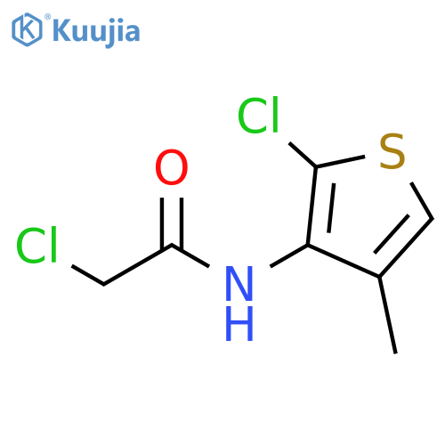 2-chloro-N-(2-chloro-4-methylthiophen-3-yl)acetamide structure
