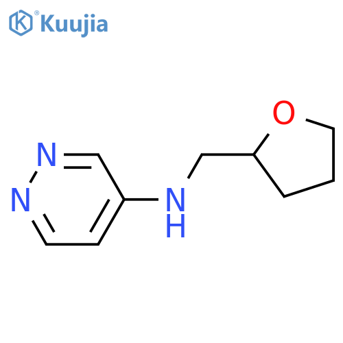 N-[(oxolan-2-yl)methyl]pyridazin-4-amine structure