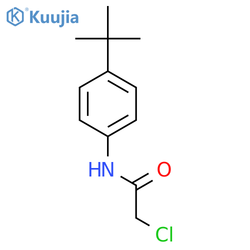 N-(4-tert-butylphenyl)-2-chloroacetamide structure