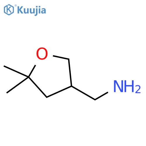 (5,5-dimethyloxolan-3-yl)methanamine structure