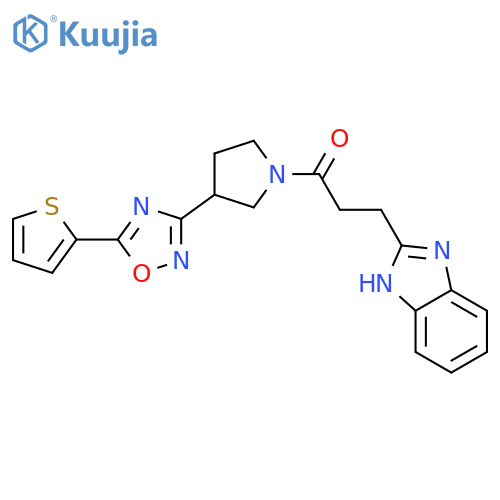 3-(1H-1,3-benzodiazol-2-yl)-1-{3-5-(thiophen-2-yl)-1,2,4-oxadiazol-3-ylpyrrolidin-1-yl}propan-1-one structure