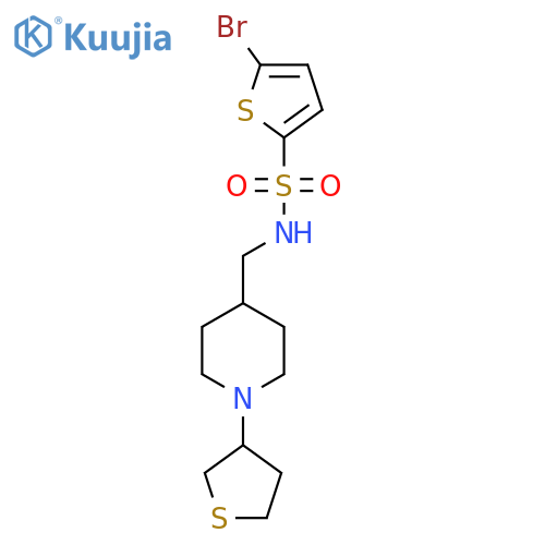 5-bromo-N-{[1-(thiolan-3-yl)piperidin-4-yl]methyl}thiophene-2-sulfonamide structure