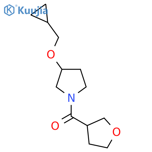 3-(cyclopropylmethoxy)-1-(oxolane-3-carbonyl)pyrrolidine structure