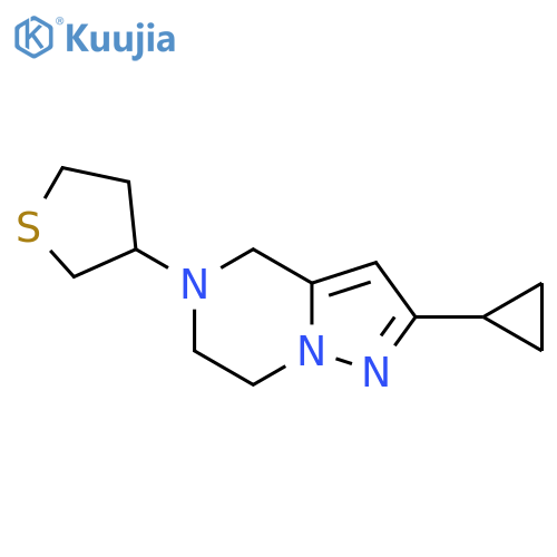 2-cyclopropyl-5-(thiolan-3-yl)-4H,5H,6H,7H-pyrazolo1,5-apyrazine structure