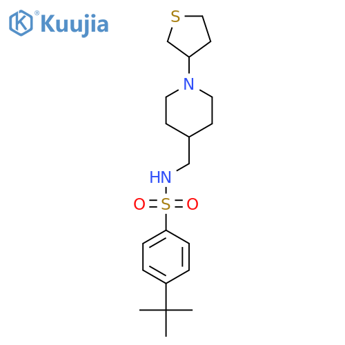 4-tert-butyl-N-{[1-(thiolan-3-yl)piperidin-4-yl]methyl}benzene-1-sulfonamide structure
