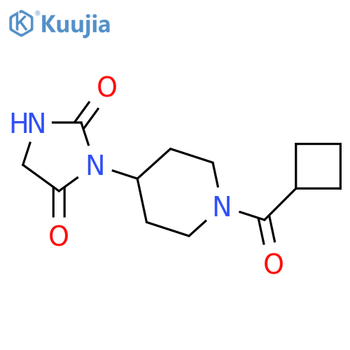 3-[1-(cyclobutanecarbonyl)piperidin-4-yl]imidazolidine-2,4-dione structure