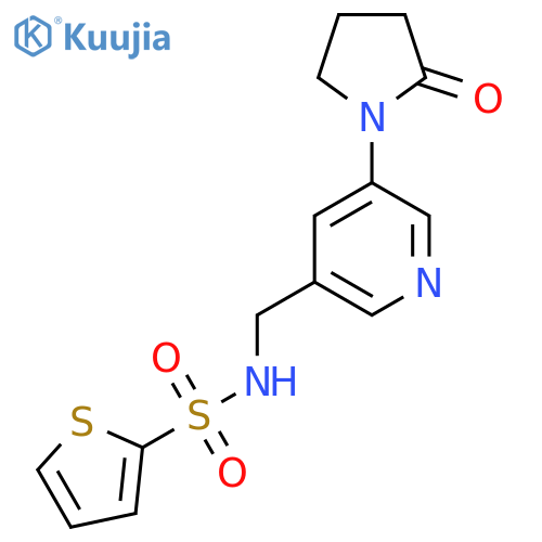 N-{[5-(2-oxopyrrolidin-1-yl)pyridin-3-yl]methyl}thiophene-2-sulfonamide structure