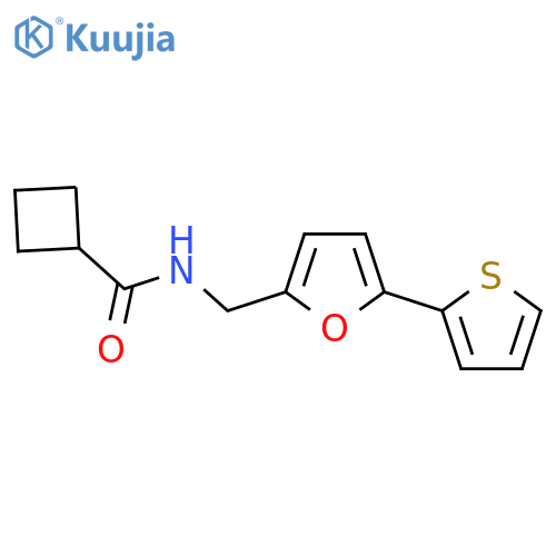 N-{[5-(thiophen-2-yl)furan-2-yl]methyl}cyclobutanecarboxamide structure