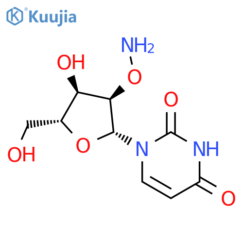 Uridine, 2'-O-amino- structure