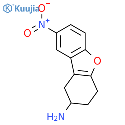 2-Dibenzofuranamine, 1,2,3,4-tetrahydro-8-nitro- structure