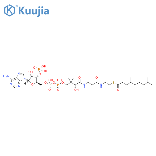 4,8-Dimethylnonanoyl-CoA structure