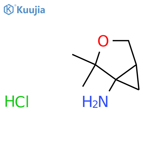 2,2-dimethyl-3-oxabicyclo3.1.0hexan-1-amine hydrochloride structure