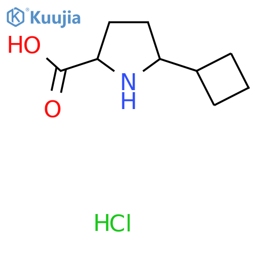 5-cyclobutylpyrrolidine-2-carboxylic acid;hydrochloride structure
