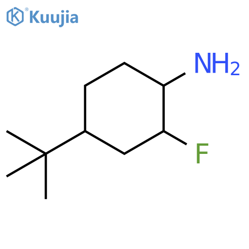4-tert-butyl-2-fluorocyclohexan-1-amine structure