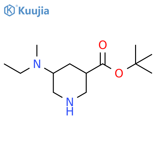 tert-butyl 5-ethyl(methyl)aminopiperidine-3-carboxylate structure