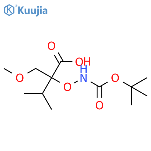 2-({(tert-butoxy)carbonylamino}oxy)-2-(methoxymethyl)-3-methylbutanoic acid structure