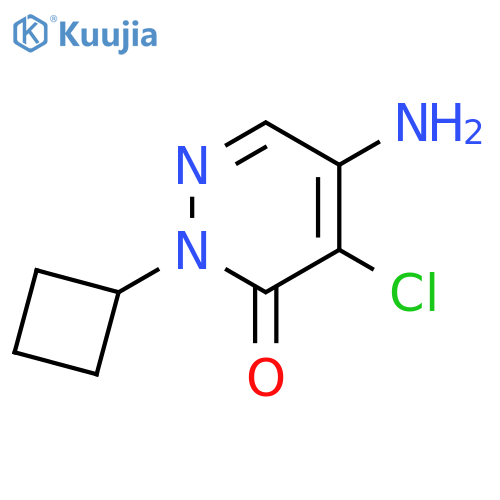 5-amino-4-chloro-2-cyclobutyl-2,3-dihydropyridazin-3-one structure