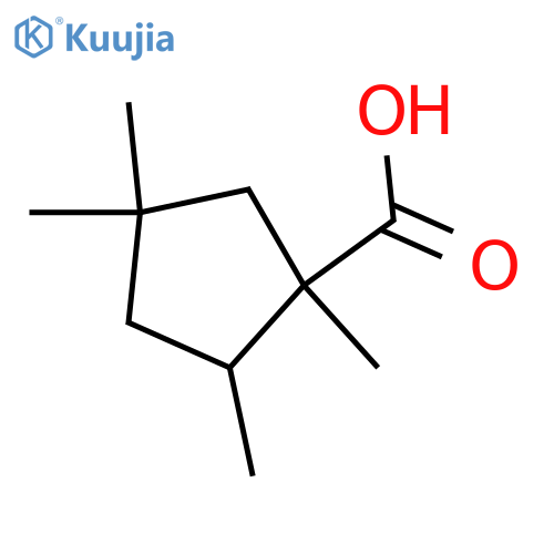 1,2,4,4-Tetramethylcyclopentane-1-carboxylic acid structure