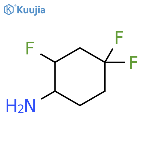 2,4,4-trifluorocyclohexan-1-amine structure