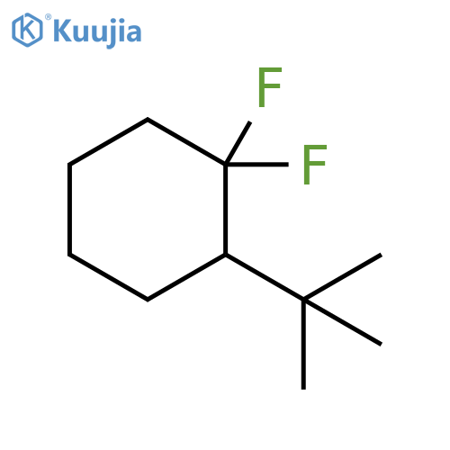 2-Tert-butyl-1,1-difluorocyclohexane structure