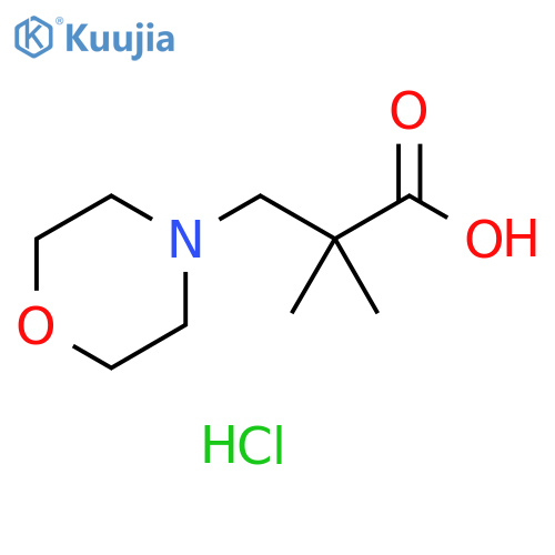 2,2-dimethyl-3-(morpholin-4-yl)propanoic acid hydrochloride structure