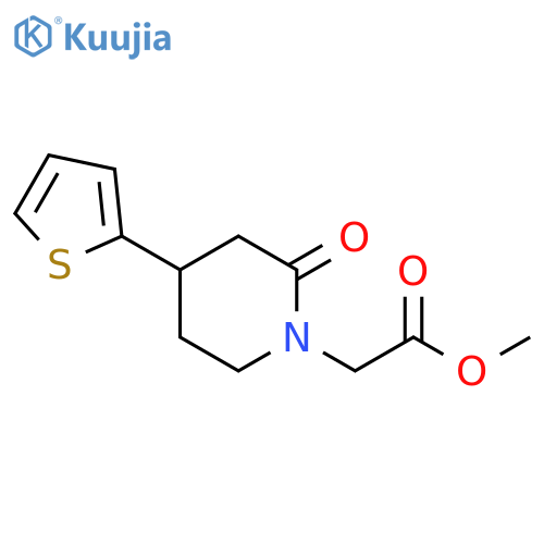methyl 2-2-oxo-4-(thiophen-2-yl)piperidin-1-ylacetate structure
