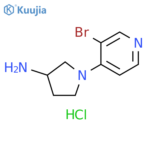 1-(3-bromopyridin-4-yl)pyrrolidin-3-amine dihydrochloride structure